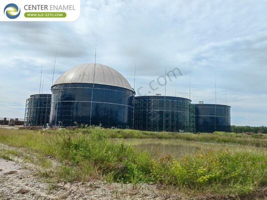 Myanmar Pennisetum Purpureum Biogas Project Powered by GFS Tanks and CSTR Process