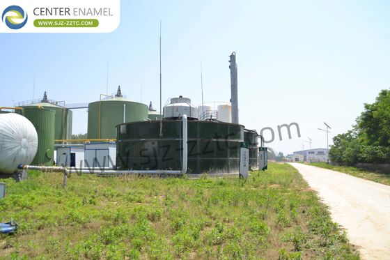 How a Biogas Project Contractor Converts Straw into Biogas in the Philippines