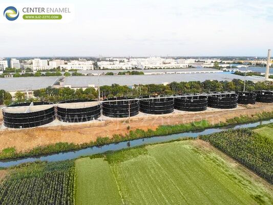 マレーシアの養豚場排水処理プロジェクトのための持続可能なバイオガス技術