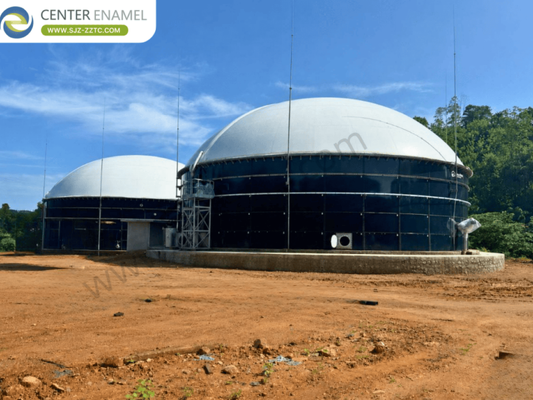 Biogas Plant Design with CSTR Process Turns Vietnam’s Pennisetum Purpureum into Renewable Energy