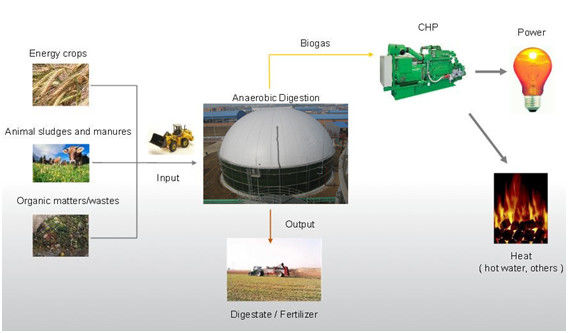EPC USR/CSTR バイオガス 消毒発酵 バイオガス 貯蔵タンク 廃棄物からエネルギー プロジェクト プラント 1